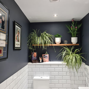 November's Interiors Collaboration