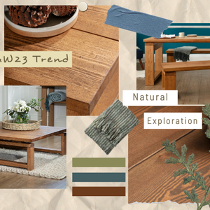 Latest Interior Trends: Natural Exploration