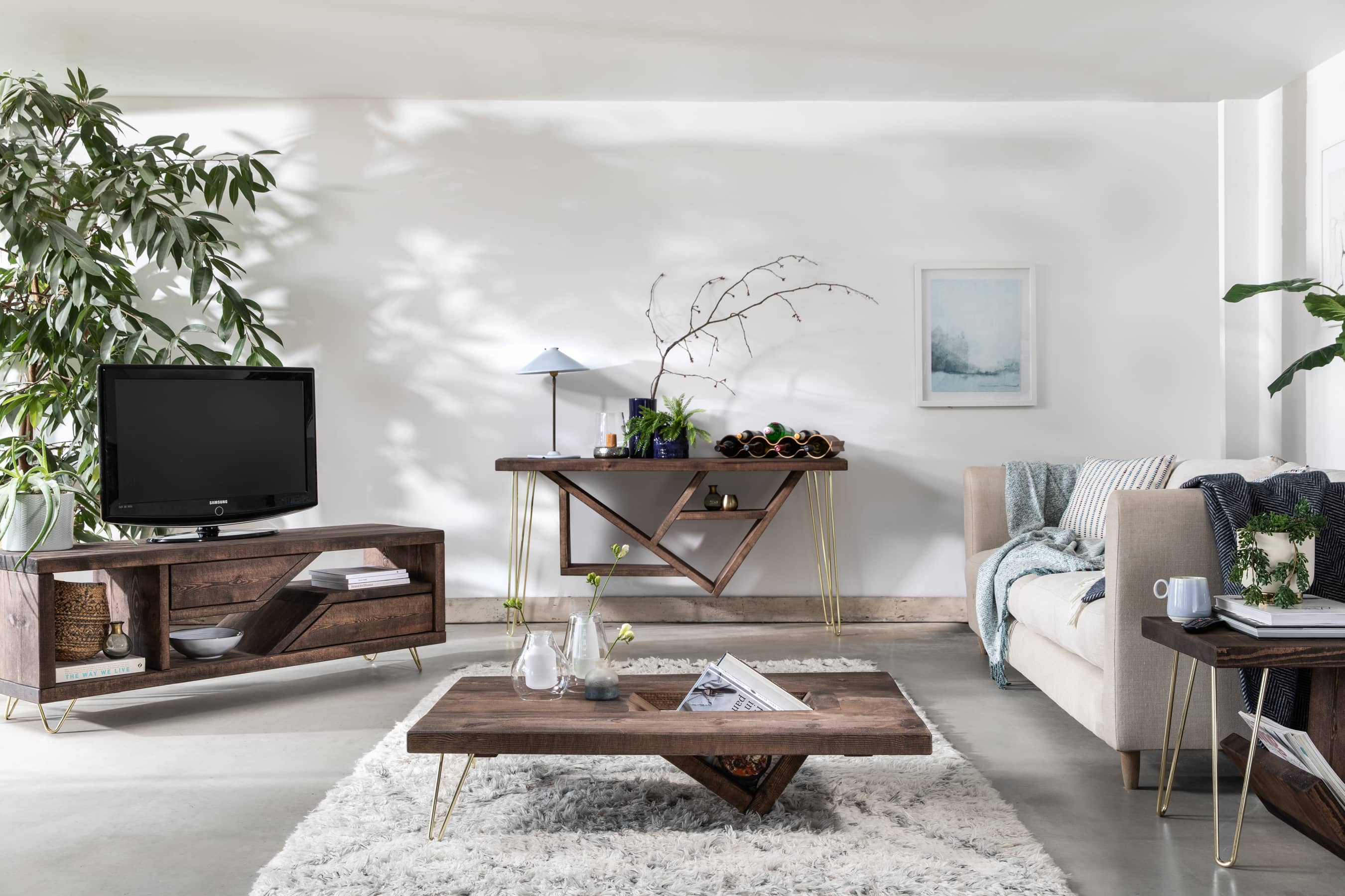 There is an image of a modern and stylish living room. The living room has a gray and white color scheme, with a gray couch, a wooden coffee table, and a wooden TV stand. There are also plants and decorative items in the room.