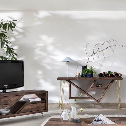 Living room with wooden furniture