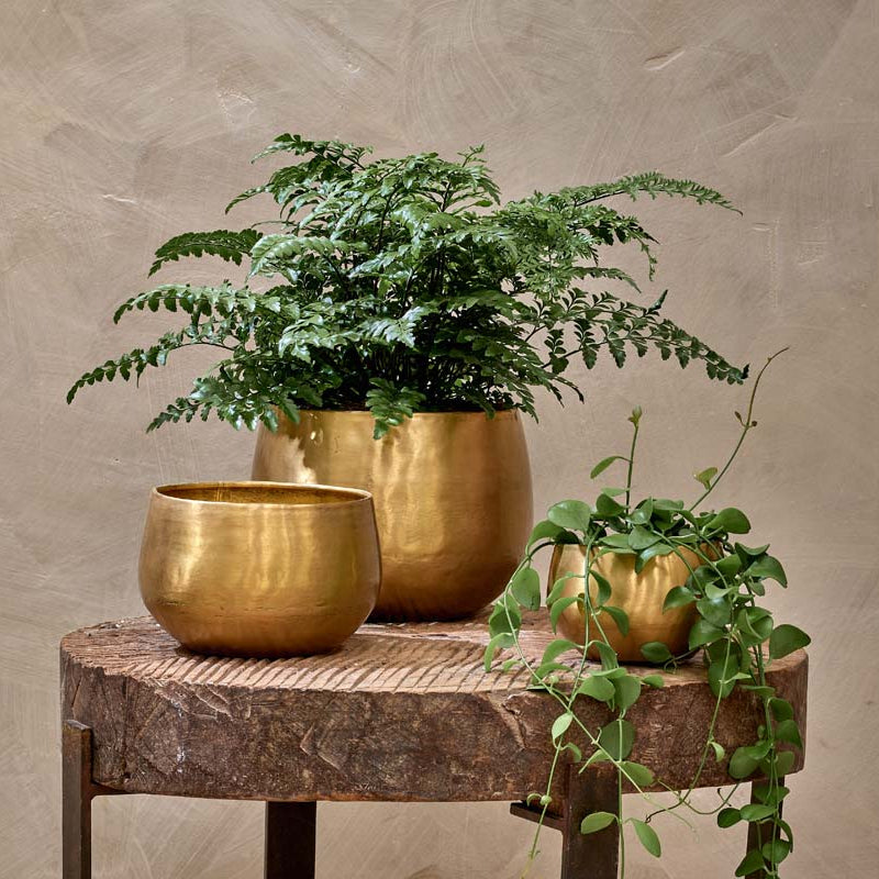 Golden Brass Curved Planter