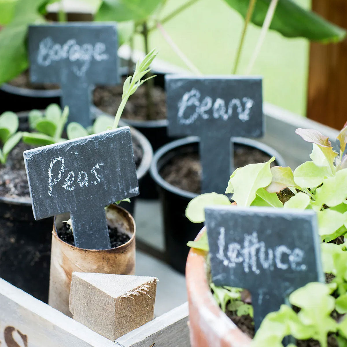 Set Of 6 Slate Plant Tags -