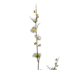 Cherry Blossom Stems - White - 3 Pack - Wreaths & Plants