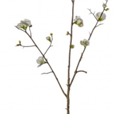 Cherry Blossom Stems - White - 3 Pack - Wreaths & Plants
