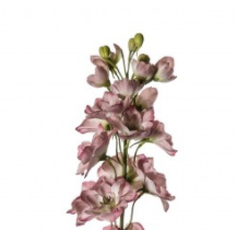 Delphinium Stems - 3 Pack - Wreaths & Plants