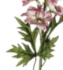 Delphinium Stems - 3 Pack - Wreaths & Plants