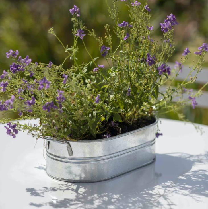 Galvanised Steel Plant Trough - Small - Planters, Vases & Bowls