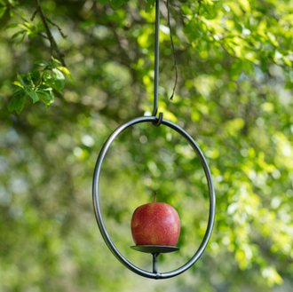 Hanging Bird Feeder - Gardening