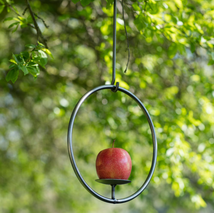 Hanging Bird Feeder