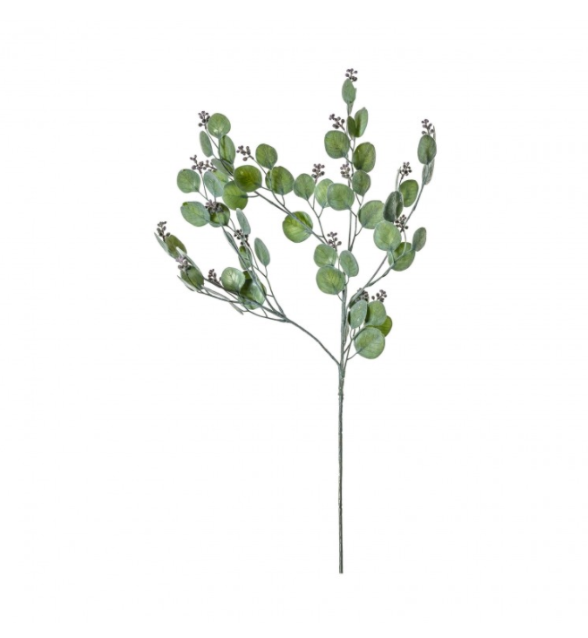 Honesty Spray Dusky Green - Wreaths & Plants