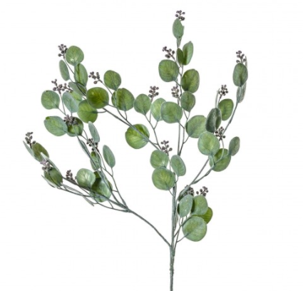 Honesty Spray Dusky Green - Wreaths & Plants