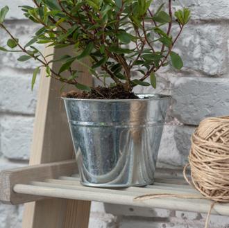 Medium Steel Plant Pot - Planters, Vases & Bowls