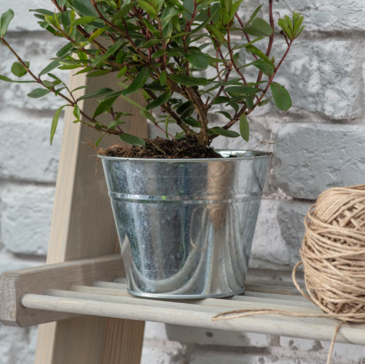 Medium Steel Plant Pot - Planters, Vases & Bowls