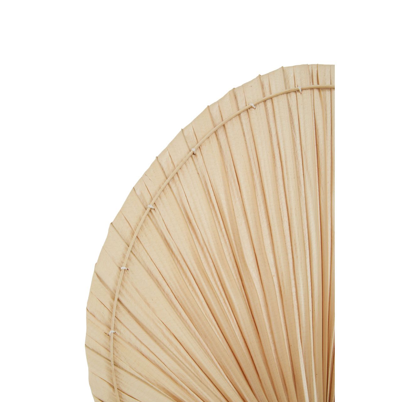 Natural Palm Fan -