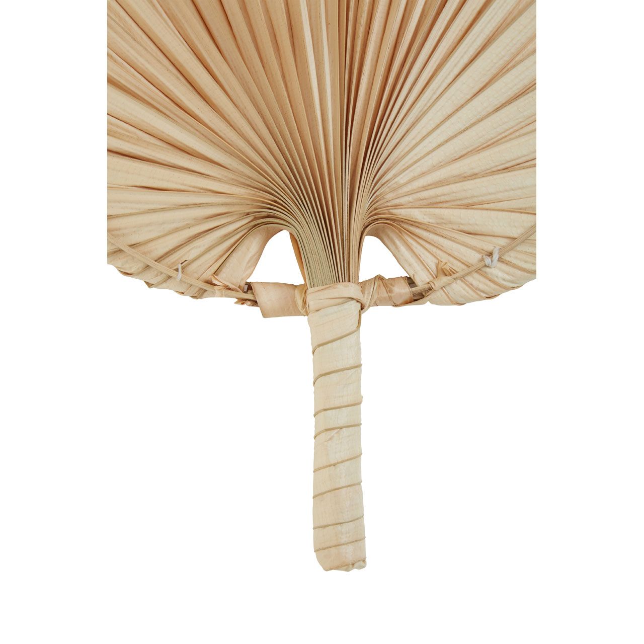 Natural Palm Fan - 