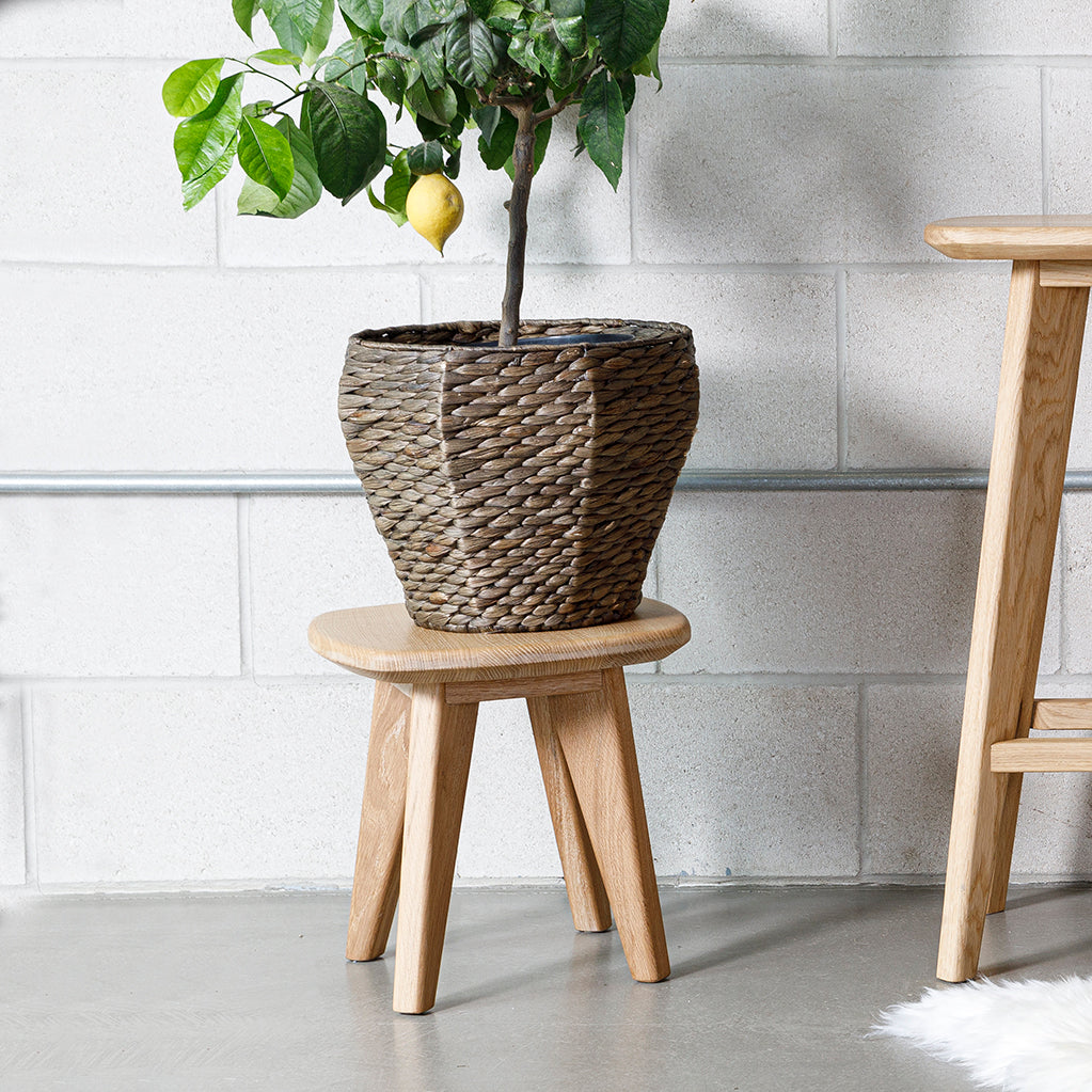 Salters Oak Plant Stand - Furniture
