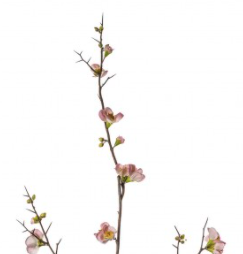 Cherry Blossom Stems - Pink - 3 Pack - Outlet - Save 20%