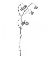Tall Berry Spray - Wreaths & Plants