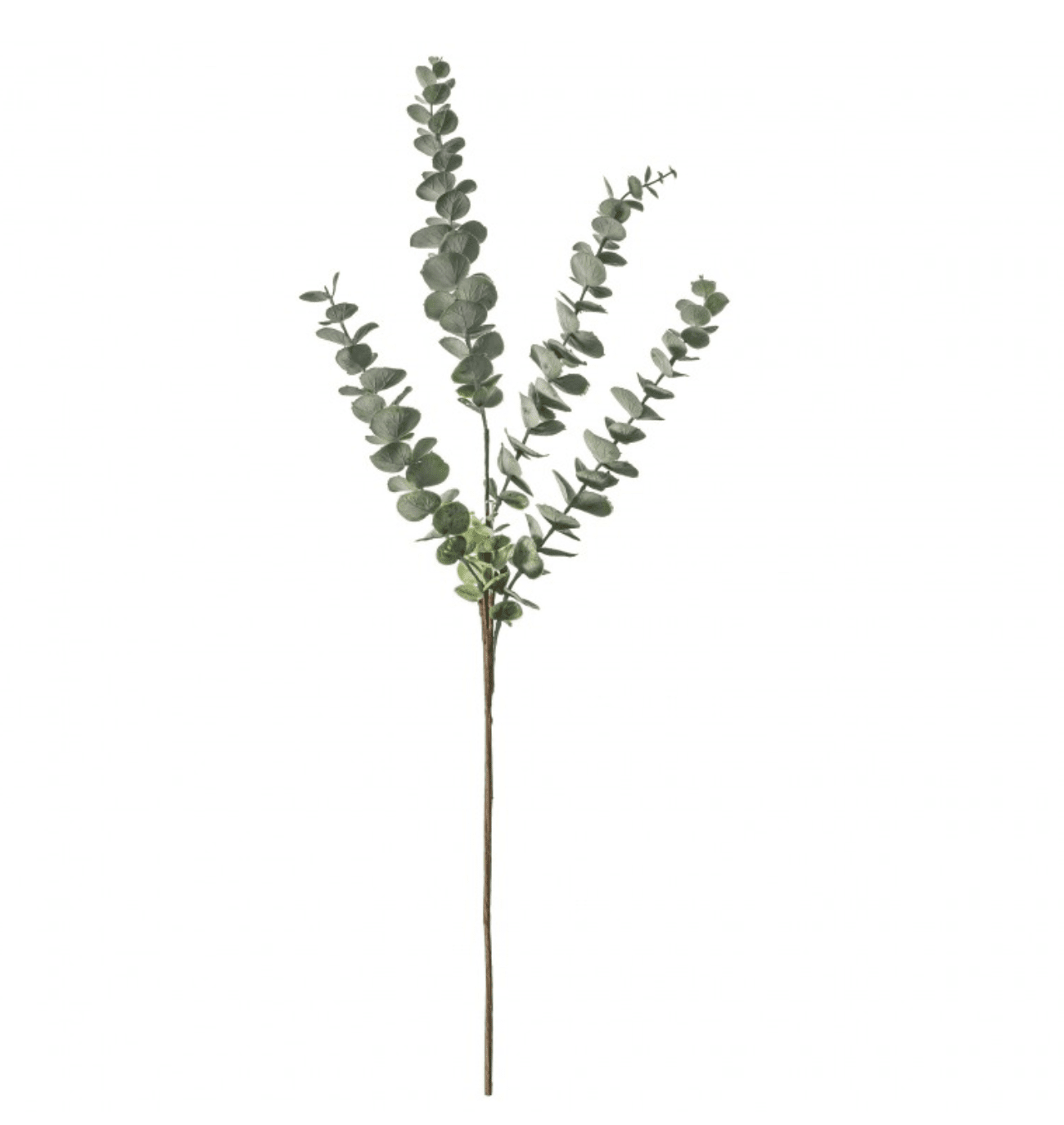 Tall Eucalyptus Spray Dusky Grey Save 20