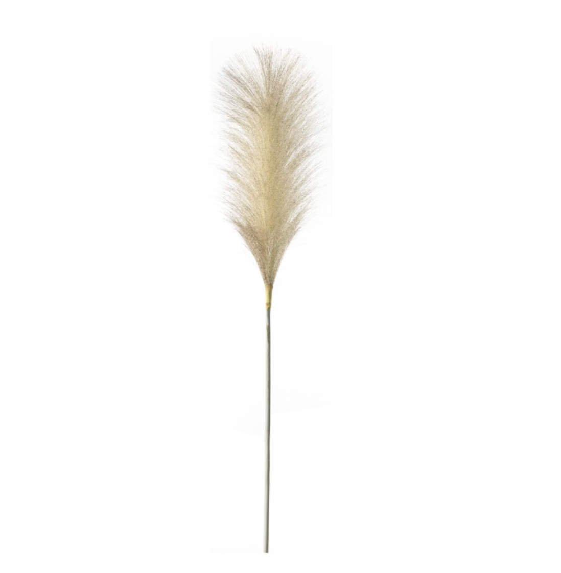 Tall Feather Stems - Blush - Pack of 5 - Outlet - Save 20%