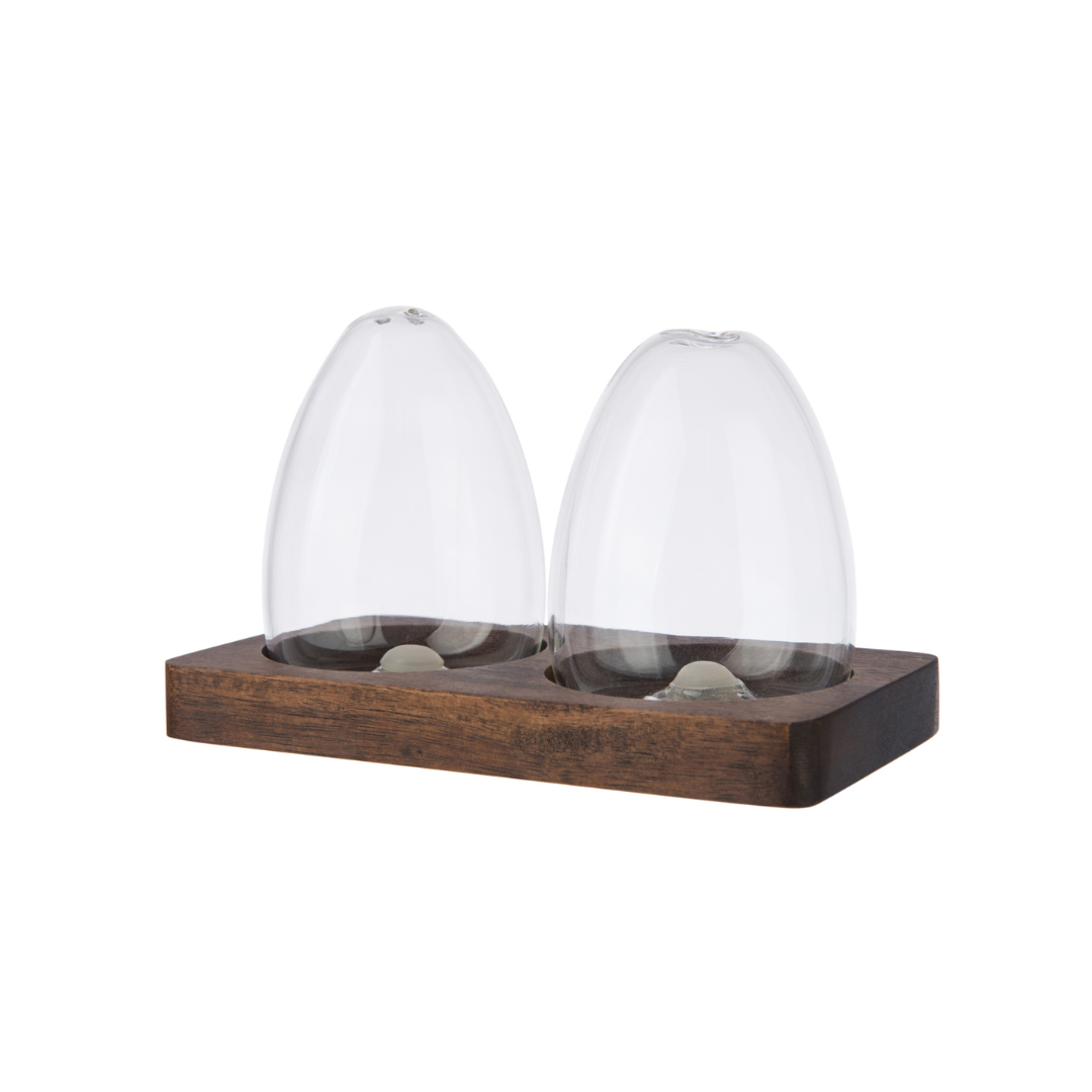 Glass Salt And Pepper Set With Tray - Tableware