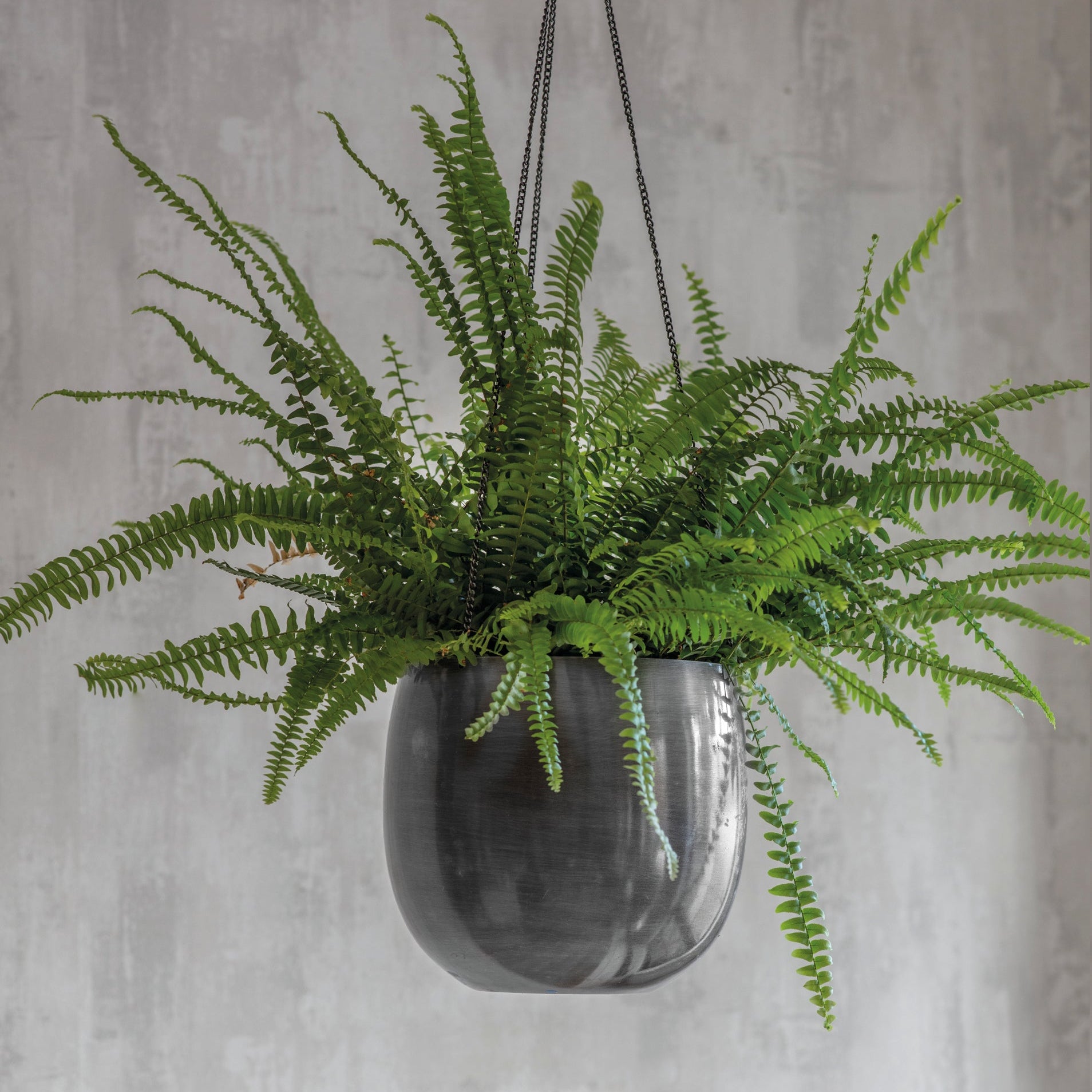 Grey Hanging Pot