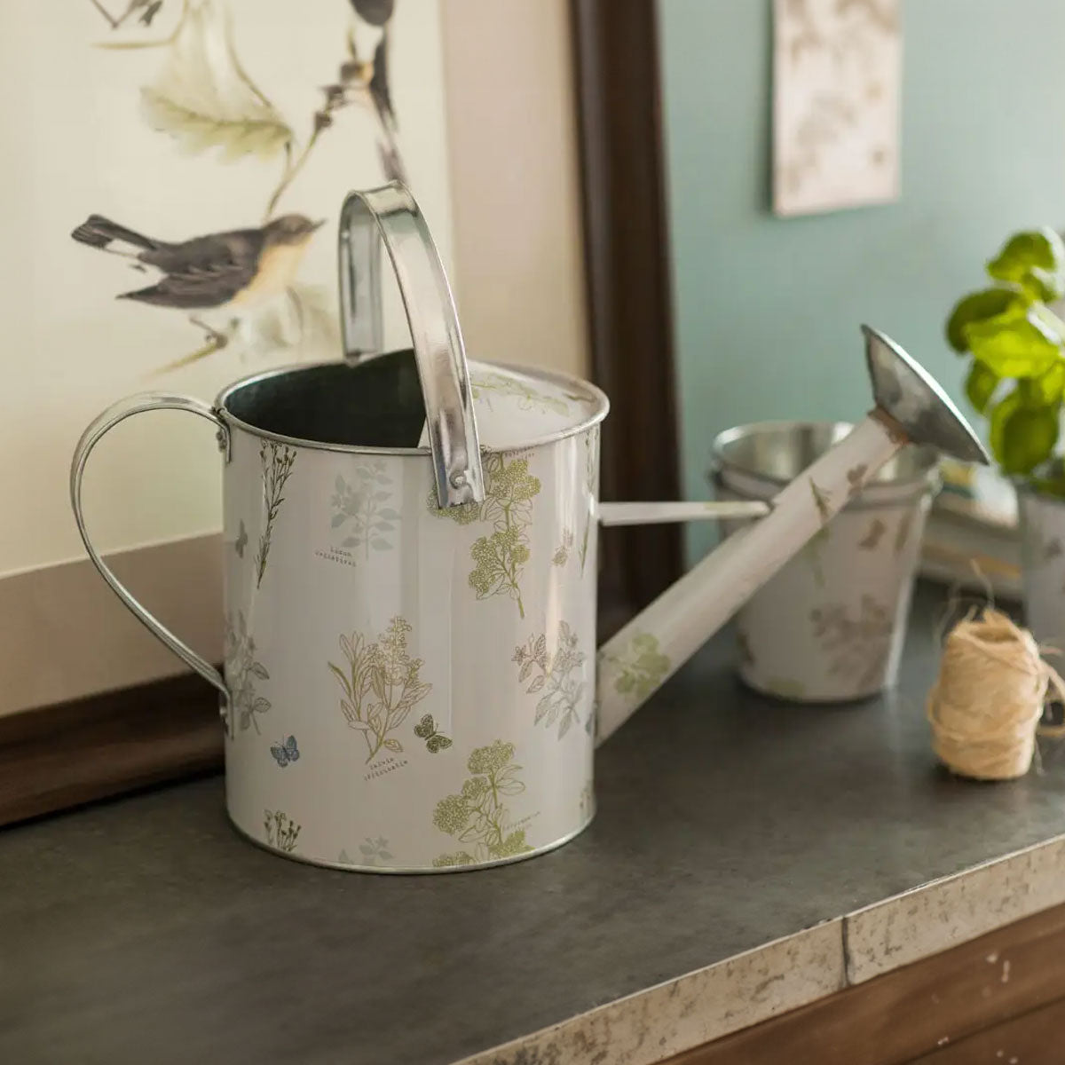 Metal Watering Can - Gardening