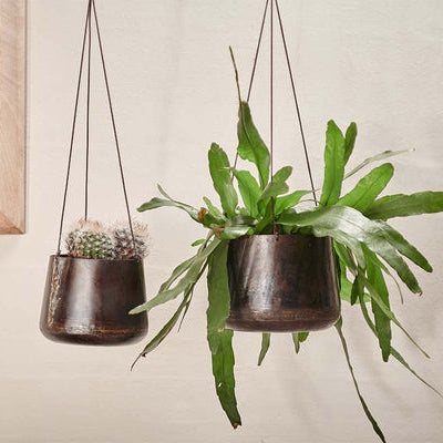 Rustic Iron Hanging Planter - Planters