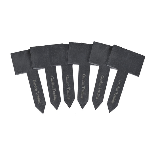 Set Of 6 Slate Plant Tags - 