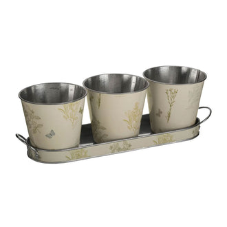 Set of Plant Pots & Tray