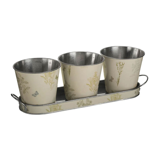 Set of Plant Pots & Tray - Planters, Vases & Bowls