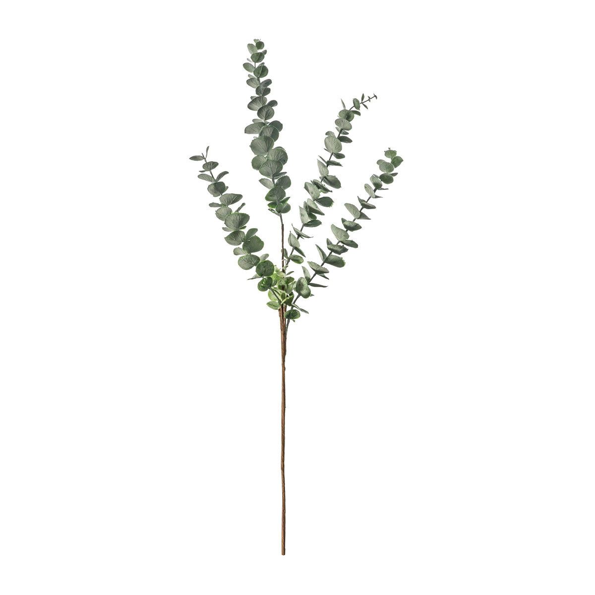 Tall Eucalyptus Spray - Dusky Grey - Wreaths & Plants