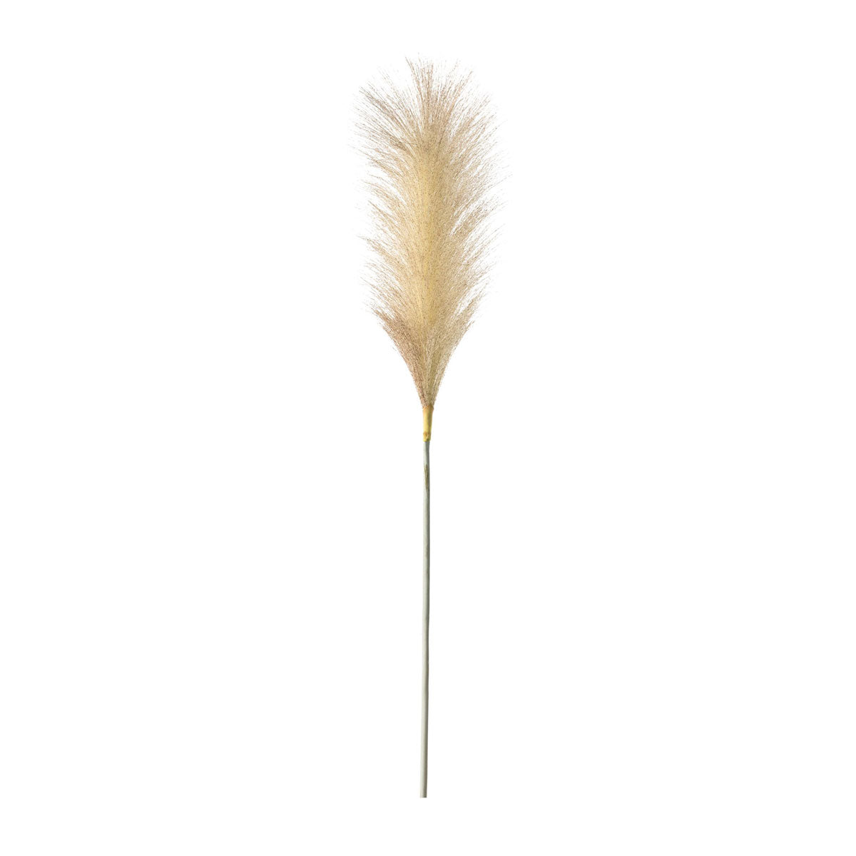 Tall Feather Stems - Blush - Pack of 5 - Wreaths & Plants