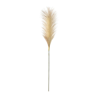 Tall Feather Stems - Blush - Pack of 5 - Wreaths & Plants