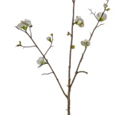 Cherry Blossom Stems - White - 3 Pack - Outlet - Save 20%
