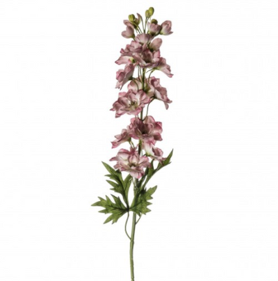 Delphinium Stems - 3 Pack - Wreaths & Plants