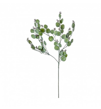 Honesty Spray Dusky Green - Wreaths & Plants
