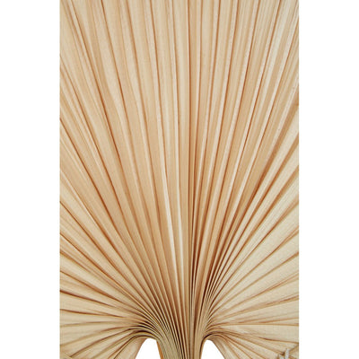 Natural Palm Fan - 