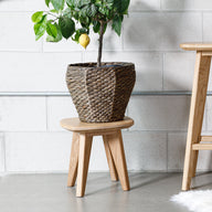 Salters Oak Plant Stand - Plant Stands