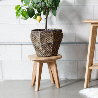 Salters Oak Plant Stand - Furniture