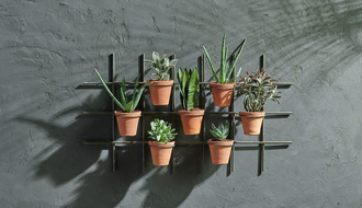 Terracotta Wall Planter