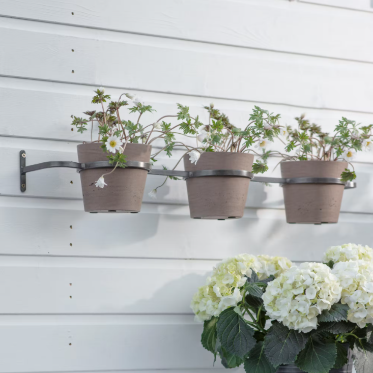Three Pot Wall Planter - Clay - Outlet - Save 20%