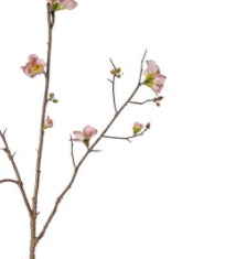 Cherry Blossom Stems - Pink - 3 Pack - Outlet - Save 20%
