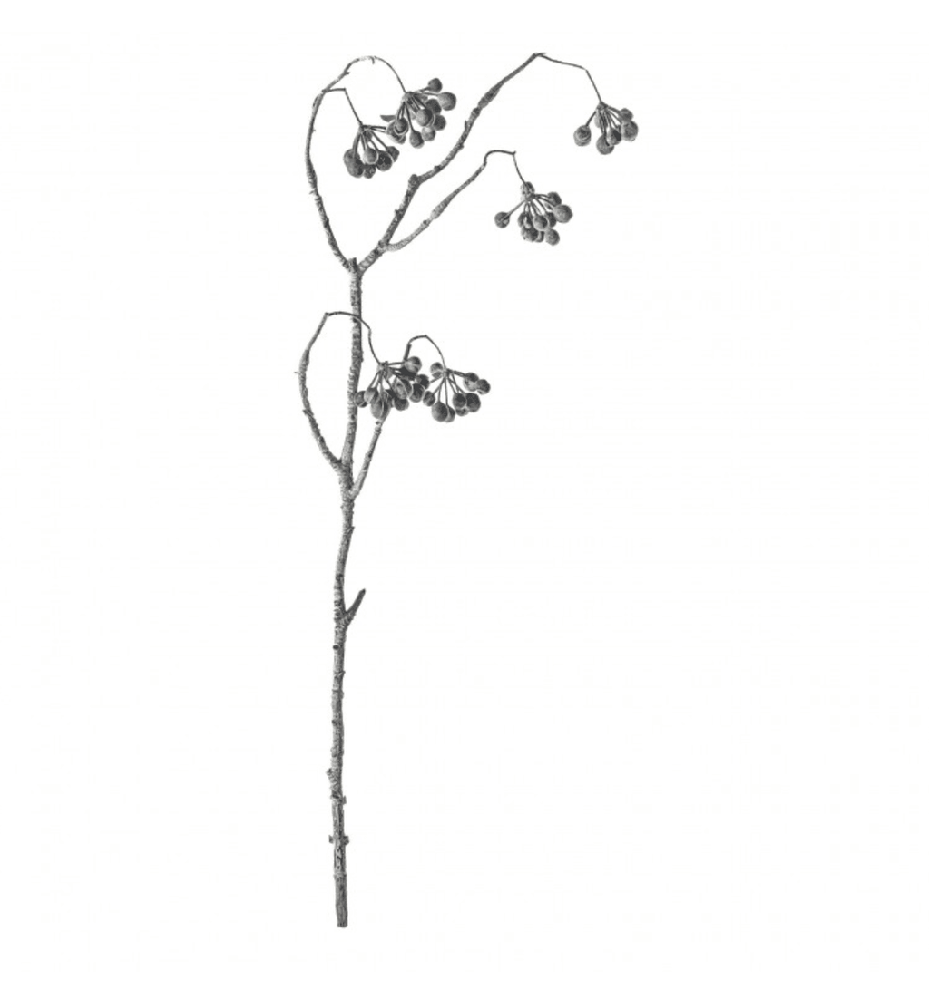 Tall Spray