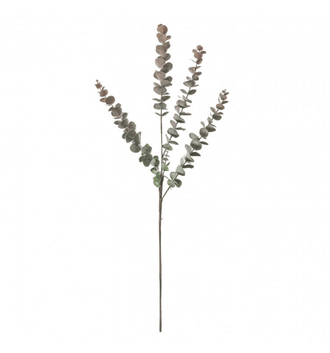 Tall Eucalyptus Spray - Dusky Blush - Wreaths & Plants