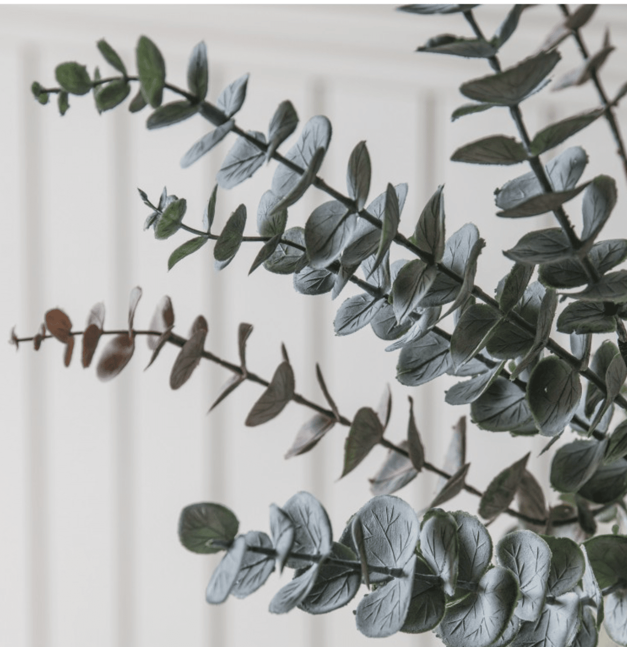 Tall Eucalyptus Spray - Dusky Grey - Outlet - Save 20%