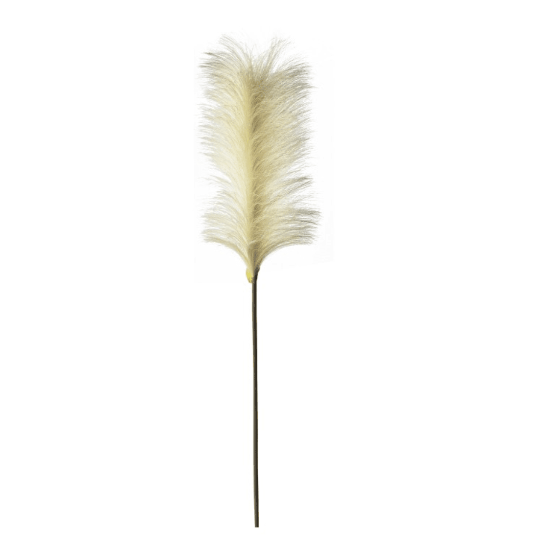 Tall Feather Stem - Cream - Pack of 5 - Outlet - Save 20%