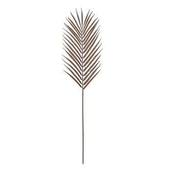 Tall Palm Stems - Brown - Pack of 3 - Wreaths & Plants