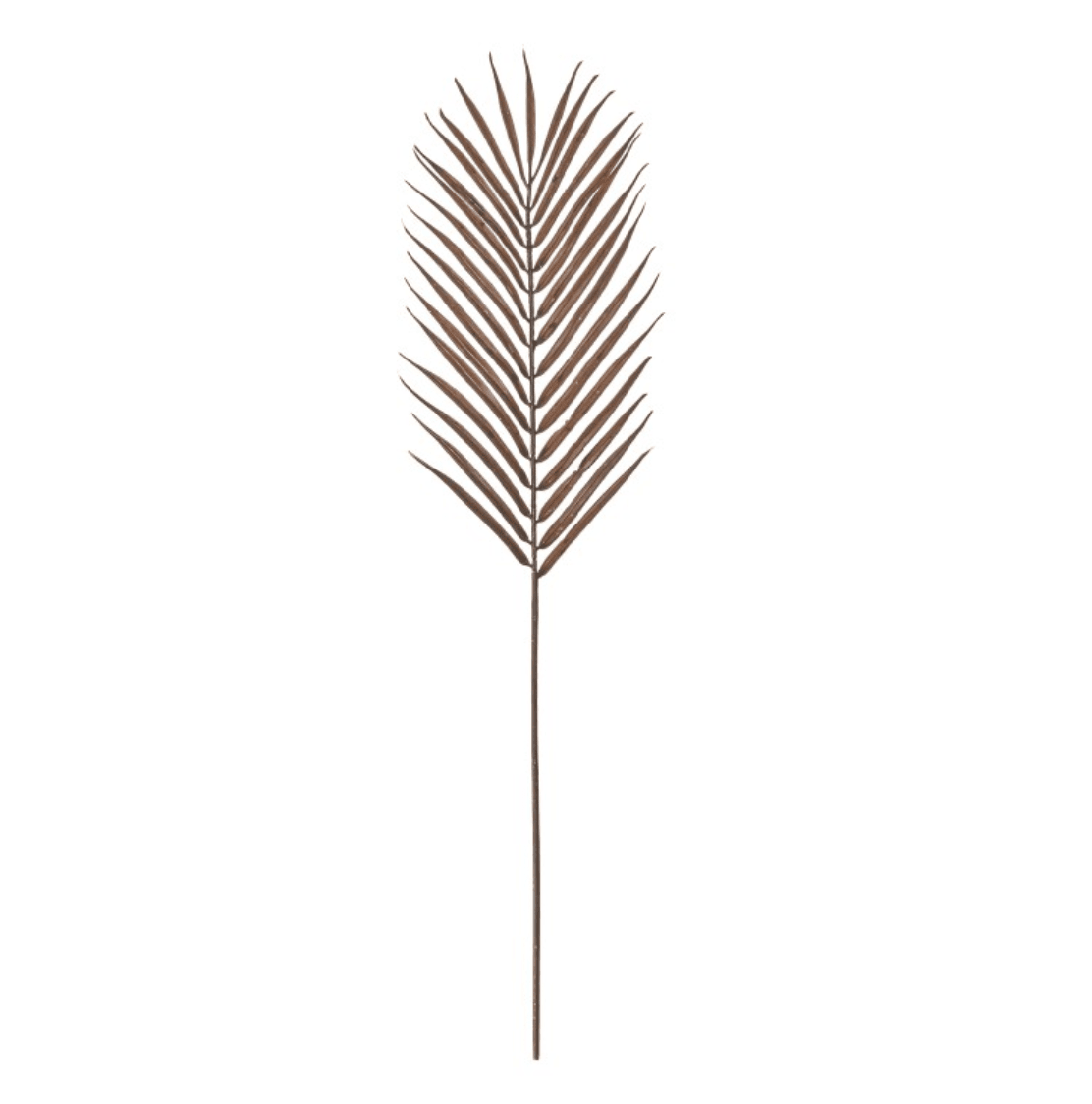 Tall Palm Stems - Brown - Pack of 3